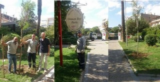 Osmanbey Parkı'na akasyalar dikildi...