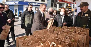 Karşıyaka'da 45 dakikada bin fidan dağıtıldı