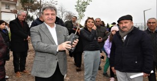 Bornova Belediyesi’nden zeytincilik eğitimi