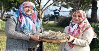 Hem kazançlı hem sağlıklı