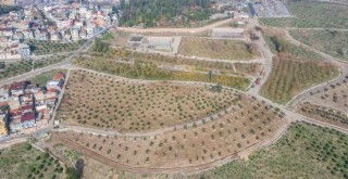 Kadifekale kente lavanta ve kekik kokuları yayacak