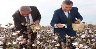 Özen: Suyumuzu canımız gibi korumalıyız