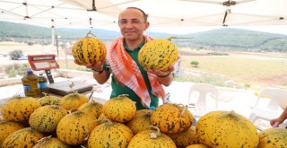 Festivalde 2 bin kavun satıldı