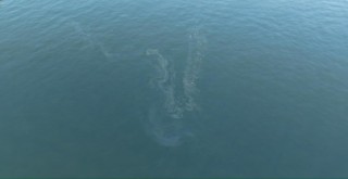 Hainler İzmir Körfezi'ni yine kirletti