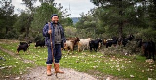 İzmir’de Çoban Start-Up dönemi başlıyor