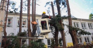 Karşıyaka’da çevre düzenleme çalışmaları devam ediyor