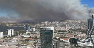 Vali Elban'dan yangın açıklaması