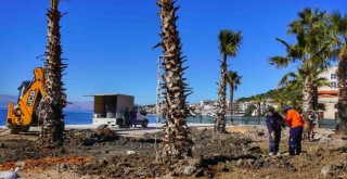 Çeşme’nin kalbi yeniden hayat buluyor