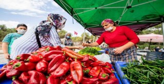 Üreticiye destek sofralara bereket