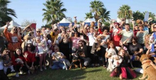 Hayvanseverler Karşıyaka'da Patifest’te buluşacak