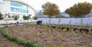 Karşıyaka’ya yeni gül bahçesi