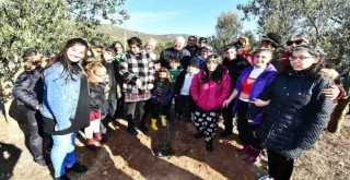 Zeytin Çocuk Festivali’nde zeytin fidanları toprakla buluştu