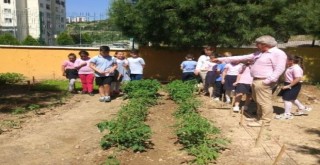 Karşıyakalı öğrenciler 500 meyve fidanı büyüttü