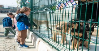 Karşıyakalı miniklerden can dostlara ziyaret