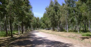 Çiğli Belediyesi’nden bahara merhaba pikniği