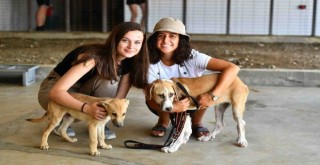 4 Ekim Dünya Hayvanları Koruma Günü Pako’da kutlanacak