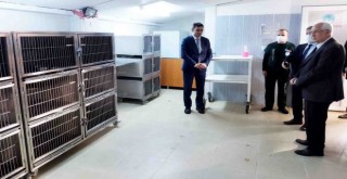 Can dostlar için örnek sistem