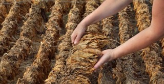 EİB’den Nisan ayında 1 milyar 378 milyon dolarlık ihracat