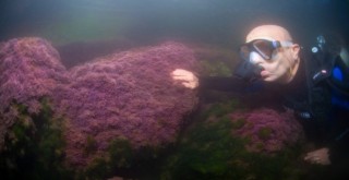 Başkan Soyer İzmir Körfezi’nde tüple dalış yaptı