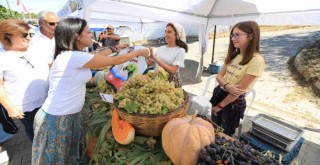 Efes Selçuk Gökçealan'da Üzüm Şenliği var