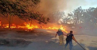 İzmir’in ormanlarını korumak için zabıta iş başında