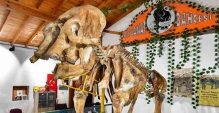 Pak Bahadır'ın iskeleti ziyaretçileri bekliyor