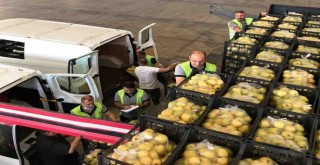 İzmir Büyükşehir'den hem üreticiye hem de ihtiyaç sahiplerine destek