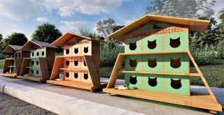 Bayraklı Belediyesi'nden sokak kedilerine sıcak yuva