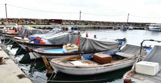 İzmir Büyükşehir’den küçük ölçekli balıkçılara destek