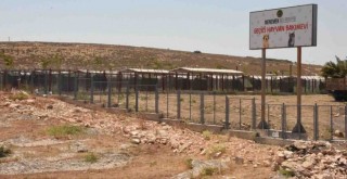 Patili dostlar Menemen Belediyesi ile güvende