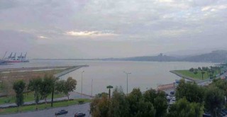 Yağmur sonrası İzmir Körfezi'nde yine ölü balık kokusu