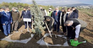 Bakan Pakdemirli: Türkiye’nin tarımsal altyapısı sağlam