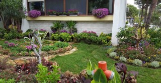 Karşıyaka çiçek açacak...