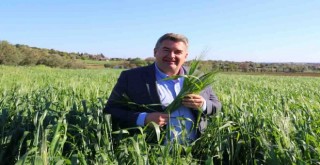 Çeşme’nin toprağından bereket fışkırıyor