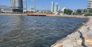 Körfez'de yine koku başladı...