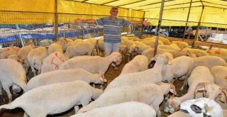 İzmir Kurban Bayramı’na hazır