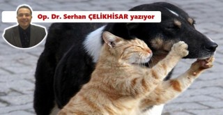 16 Günahsız ve İnsansı’lar…