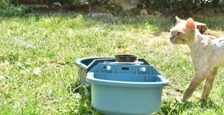 Bornova Parklarına suluk