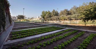 Karşıyaka’da bostanlar artıyor...