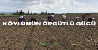 İzmir Köykoop. Birliği bir tıkla yanınızda