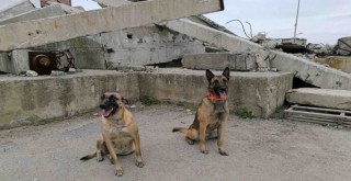 İki kardeş afetlerde mucize yaratıyor