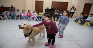 Sevimli köpekler Karşıyakalı miniklere hayvan sevgisi aşılıyor