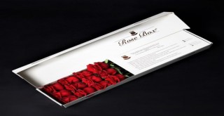 Doğum Günü Çiçeği