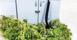 Karşıyaka'da evinde uyuşturucu yetiştiren baba oğul yakalandı