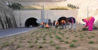 Kuraklığa karşı İzmir’in yeşil örtüsünde dönüşüm