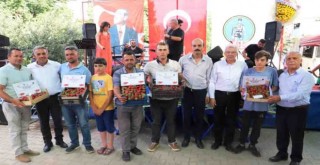 Ovacık Yaylası, Çilek ve Barbunya Festivali ile şenlendi