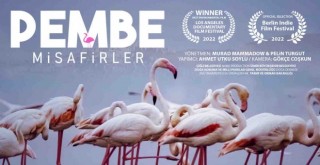 Çiğli’nin Pembe Misafirleri Los Angeles’ten ödülle dönüyor