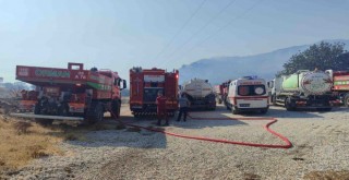 Çandarlı'daki yangın 8,5 saat sonra kontrol altına alındı