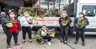 İzmir Büyükşehir'den annelere sardunya