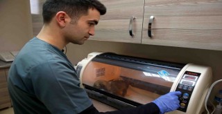 Buca Belediyesi 1 yılda 8 bin hayvana kucak açtı